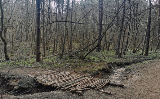 21_Karoliniškių takai (3).jpg